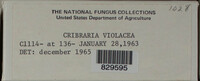 Image Associated With the Occurence